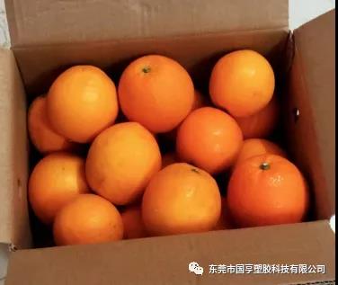 PCR材料供应商