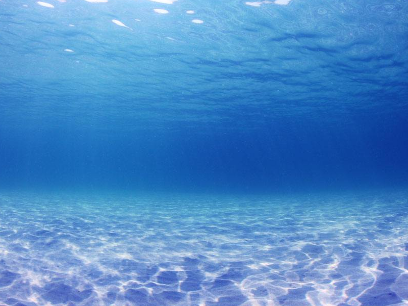 海洋环境